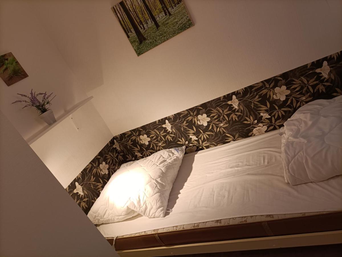Ferienwohnung Isabell Goslar Luaran gambar